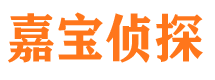 炎陵侦探公司